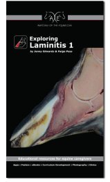 Exploring Laminitis 1 Cover