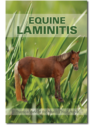 Equine Laminitis Guide Cover