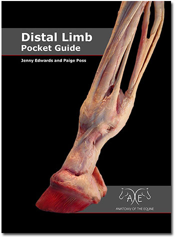Distal Limb Pocket Guide Cover