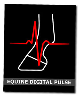 Equine Digital Pulse Ebook