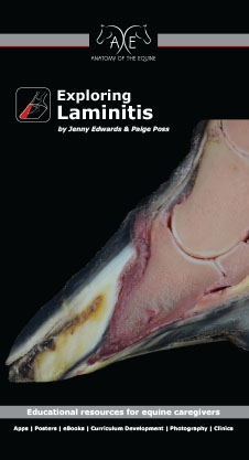 Exploring Laminitis 2023 cover